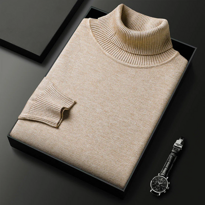 Alioth Cashmere Turtleneck