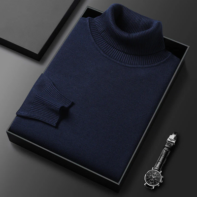 Alioth Cashmere Turtleneck